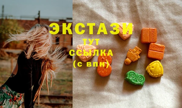 ECSTASY Алзамай