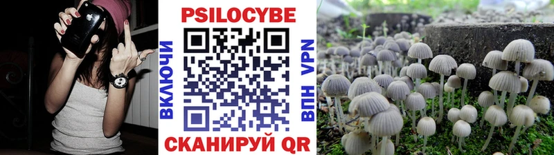 нарко площадка как зайти как найти наркотики Иваново Псилоцибиновые грибы мицелий